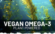 Cargar imagen en el visor de la galería, Omega-3 Vegano DHA de Algas 60 Softgels | Con Vitamina E – Prowise/ Vegan Omega-3 DHA from Algae Oil | 60 Softgels with Vitamin E- Prowise
