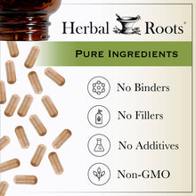 Cargar imagen en el visor de la galería, Cápsulas de Aceite de Orégano Herbal Roots/ Herbal Roots Oil of Oregano Capsules